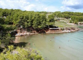 Grebisce strand – Jelsa