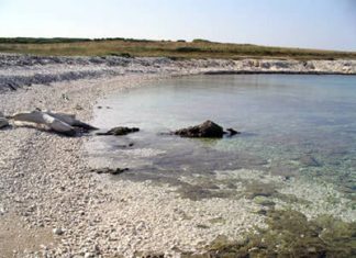 Marlera strand – Liznjan