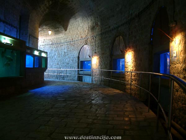 Akvárium a Szent János-erőd földszintjén, Dubrovnik