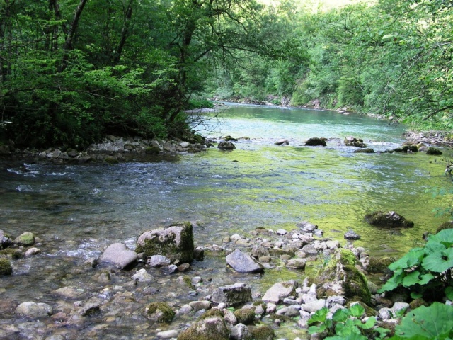A Kupa-folyó a park egy alacsonyan fekvő pontján fakad.